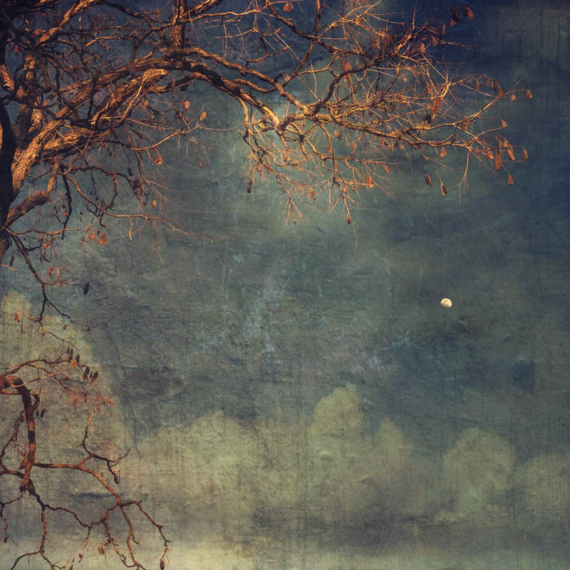 Wendi Schneider - Moonglow (blue)