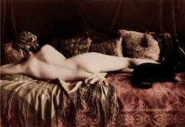 Wendi Schneider - Nude with Cat